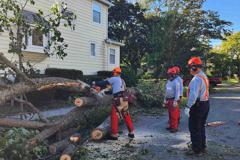 $250 Equip a chainsaw team to clear routes and remove dangerous debris